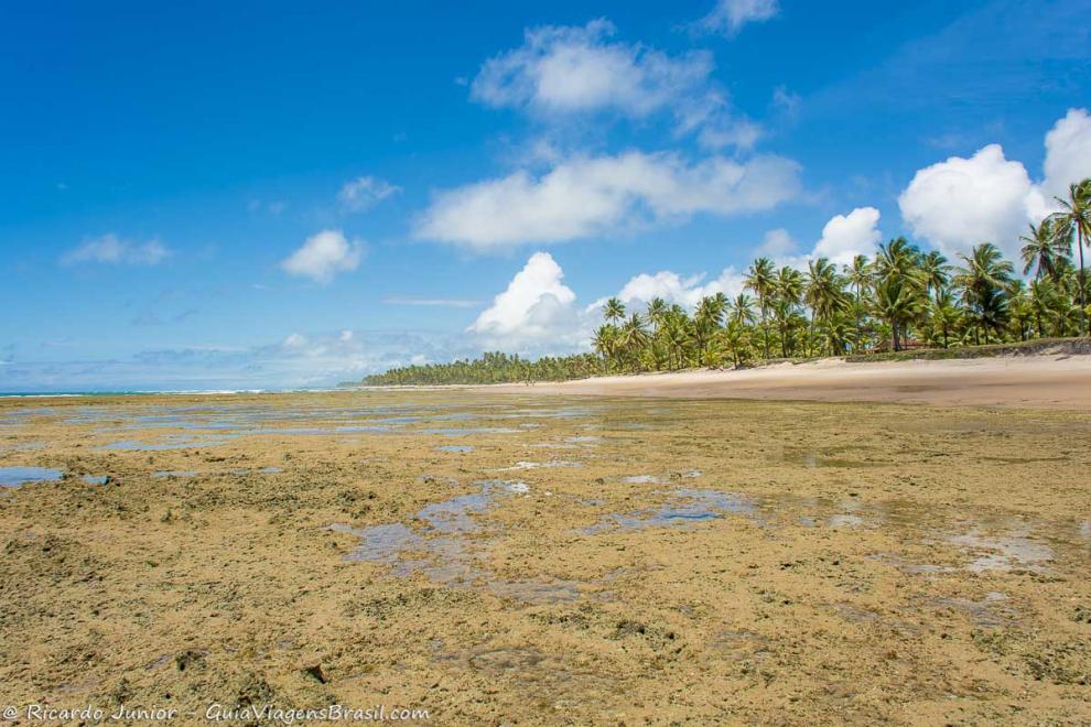 Imagem fantástica da Praia de Taipu de Fora.